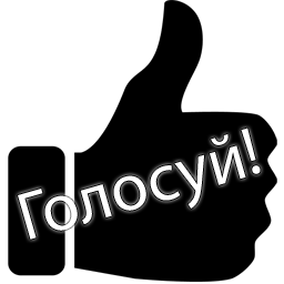 Итоги голосования: лето